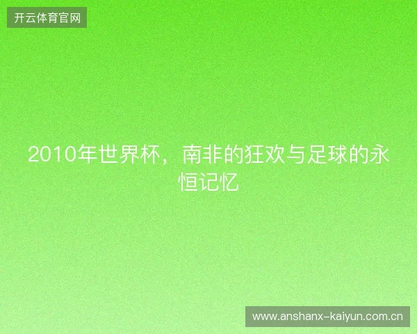 2010年世界杯，南非的狂欢与足球的永恒记忆